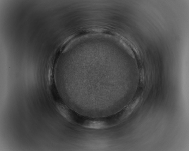 X0000088230360200705151457
