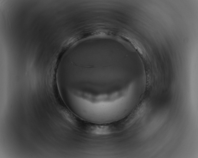 X0000088230361200705151457