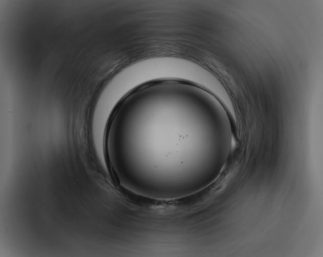 X0000088230362200705151457
