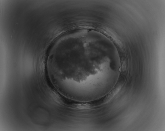 X0000088230363200705151457
