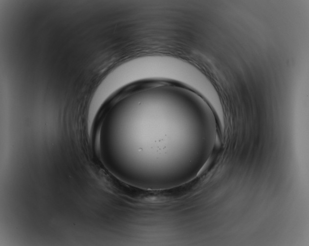 X0000088230364200705151457