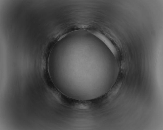 X0000088230368200705151457