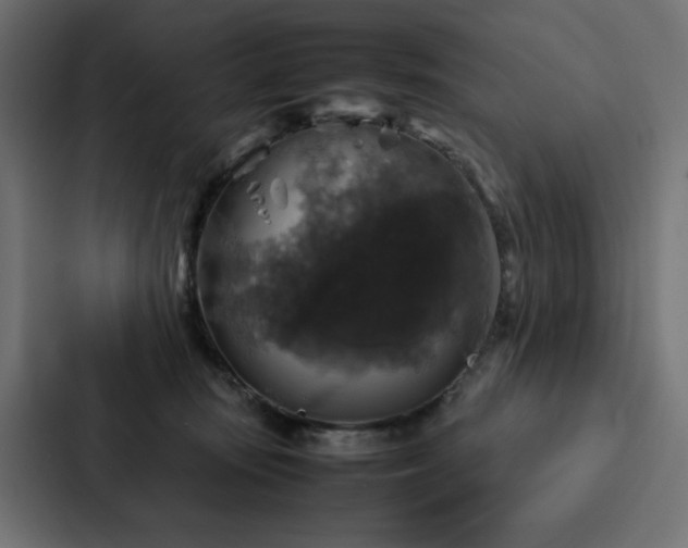 X0000088230371200705151457