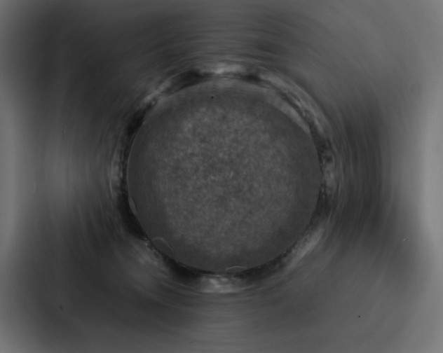 X0000088230372200705151457