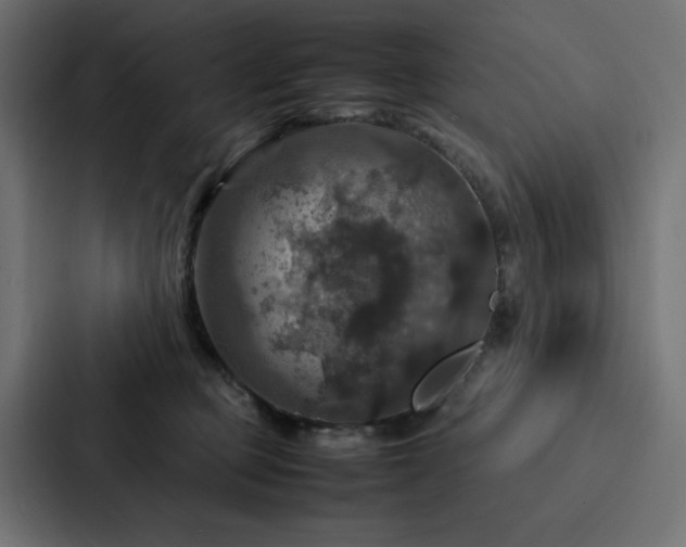 X0000088230373200705151457