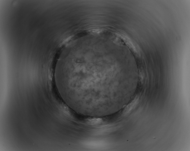 X0000088230374200705151457