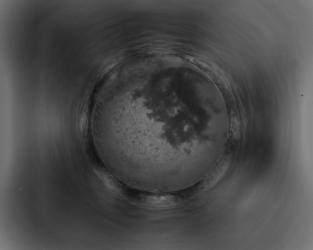 X0000088230375200705151457