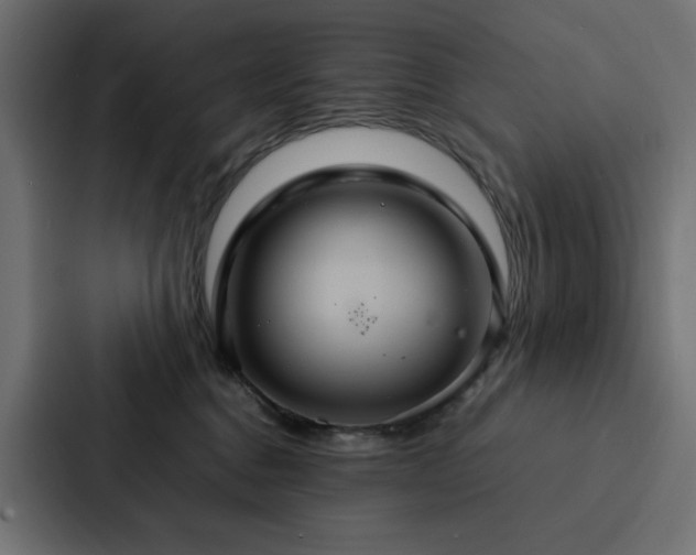 X0000088230376200705151457