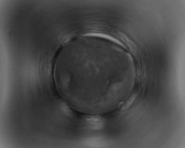 X0000088230377200705151457