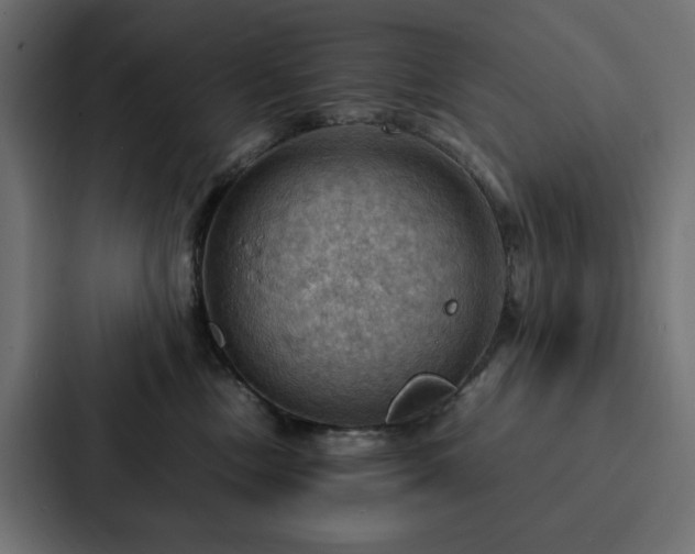 X0000088230378200705151457