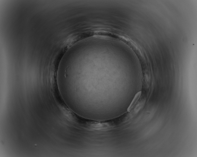 X0000088230379200705151457