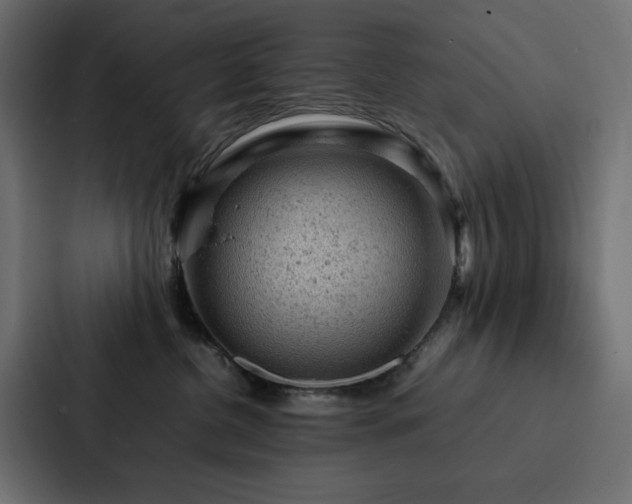 X0000088230380200705151457