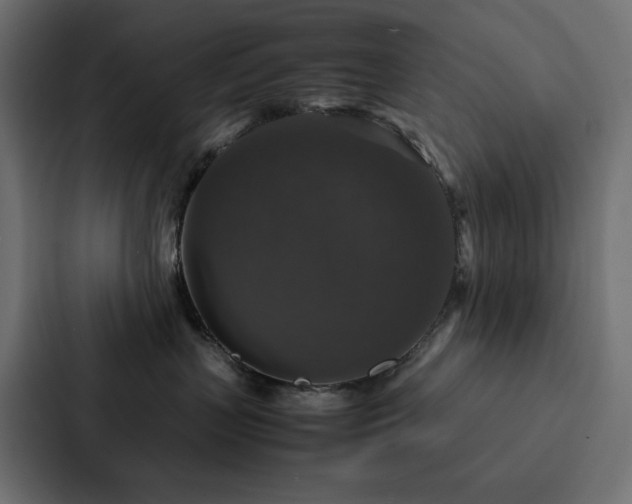 X0000088230383200705151458