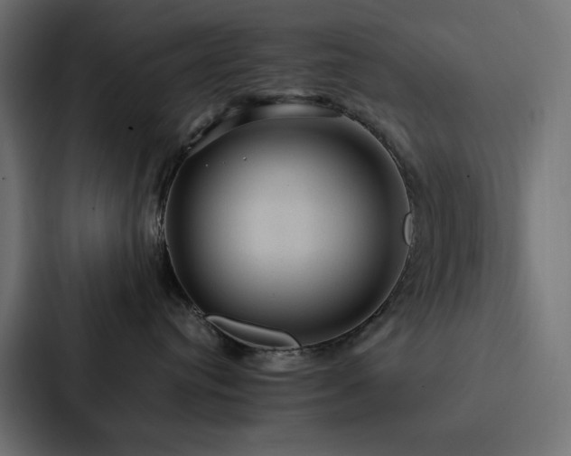 X0000088230384200705151458