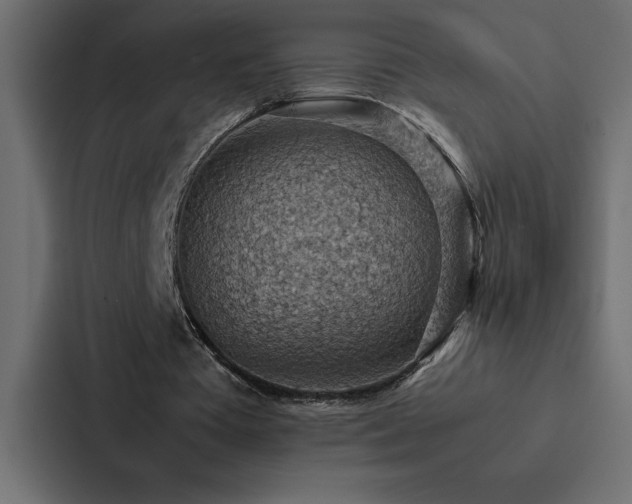 X0000088230385200705151457