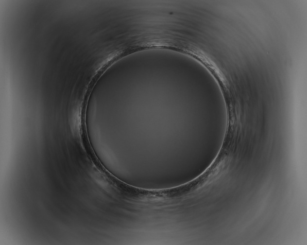 X0000088230386200705151457