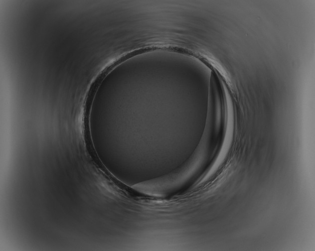X0000088230387200705151457