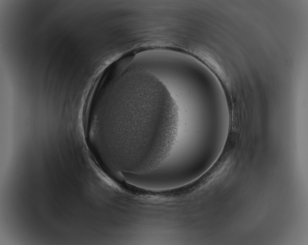 X0000088230389200705151457