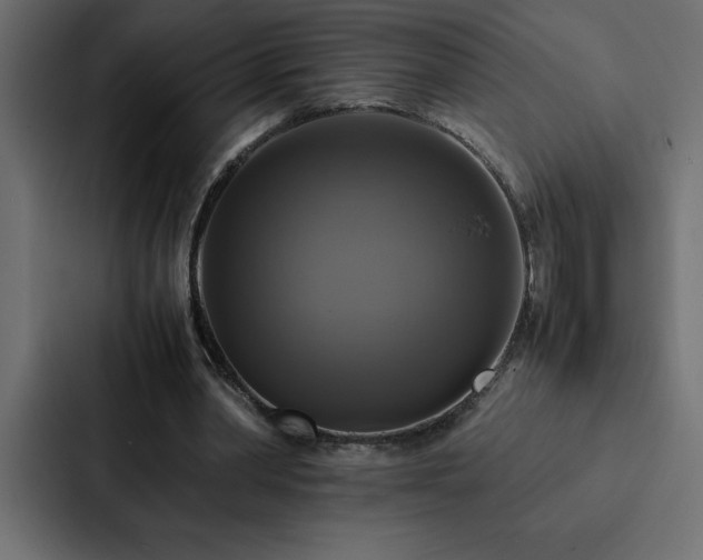 X0000088230390200705151457
