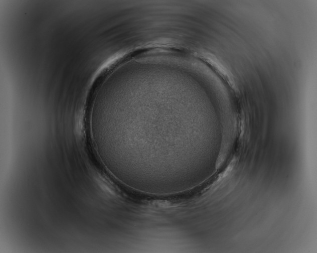 X0000088230392200705151457