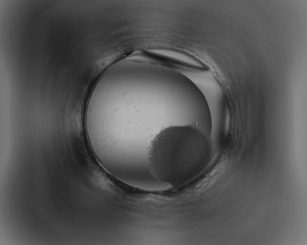 X0000088230393200705151457