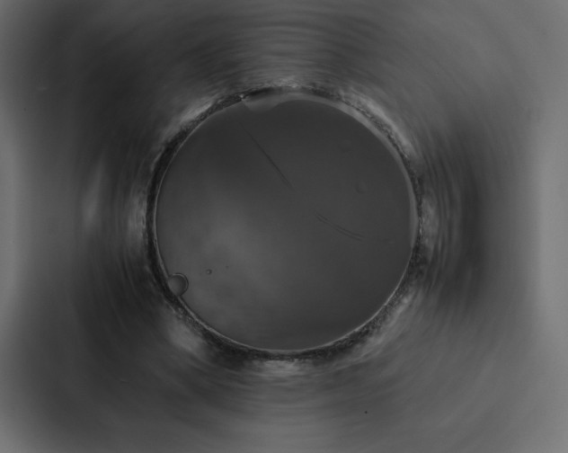 X0000088230394200705151457