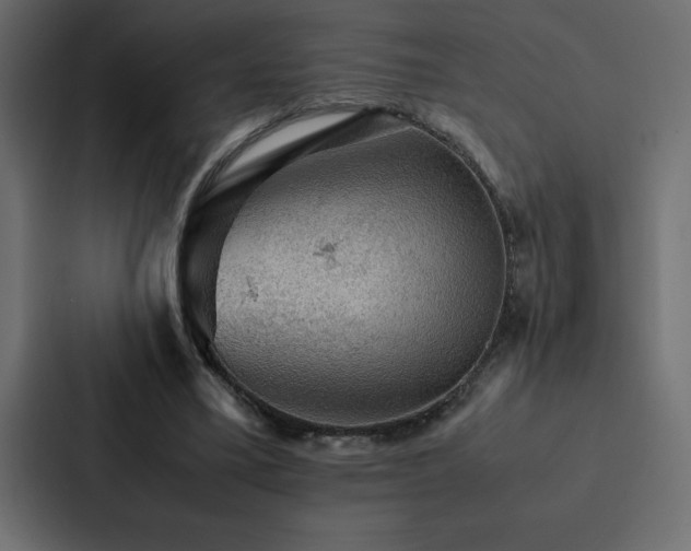 X0000088230395200705151457