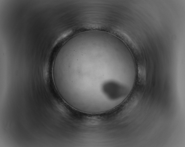 X0000088230396200705151457