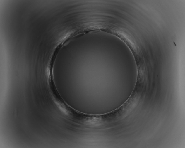 X0000088230398200705151457