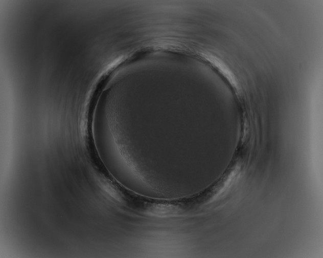 X0000088230399200705151457