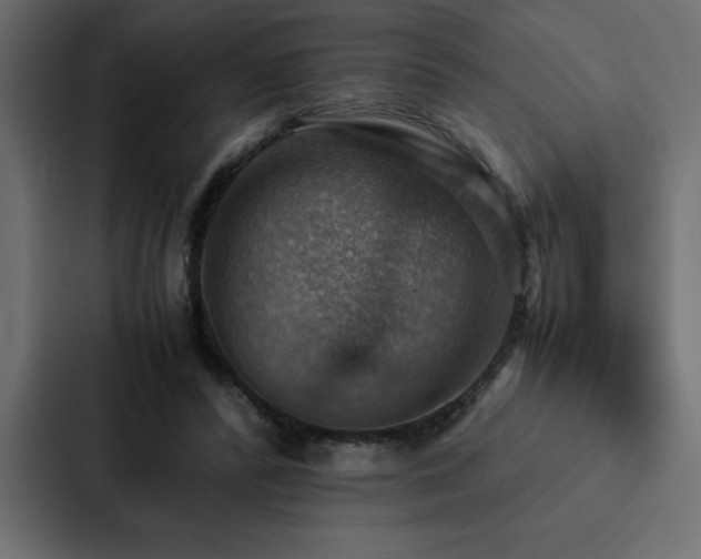 X0000088230400200705151457