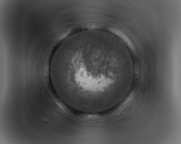 X0000088230401200705151457