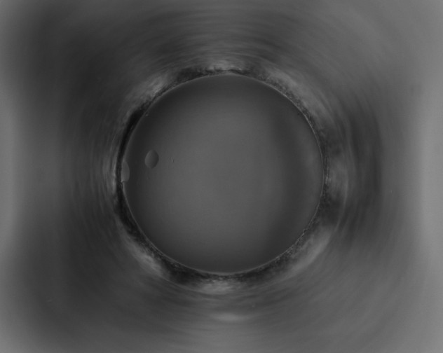 X0000088230402200705151457