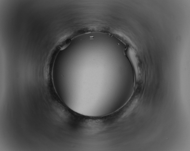 X0000088230403200705151457