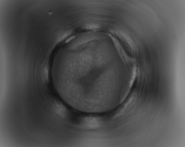 X0000088230404200705151457
