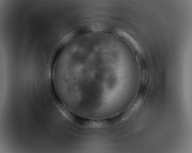 X0000088230405200705151457