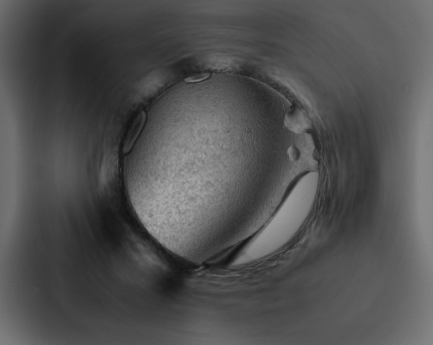 X0000088230407200705151457