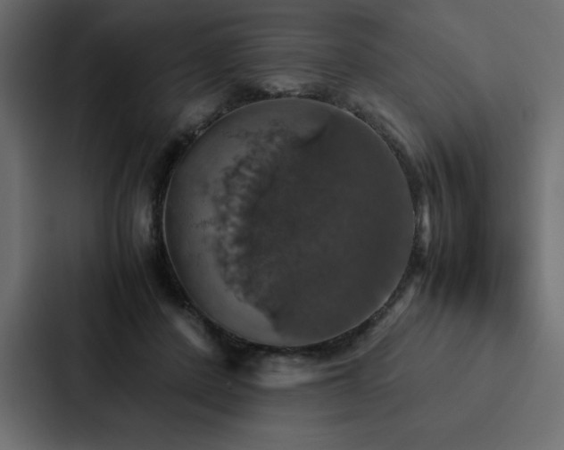 X0000088230408200705151457