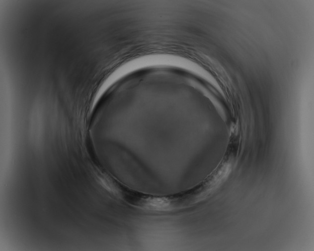 X0000088230409200705151457
