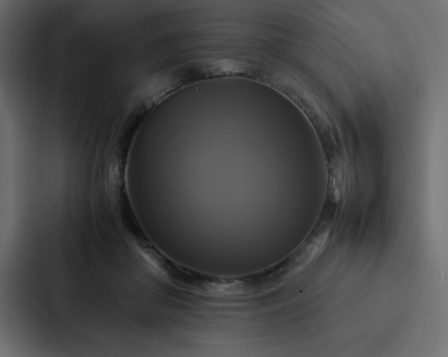 X0000088230410200705151457