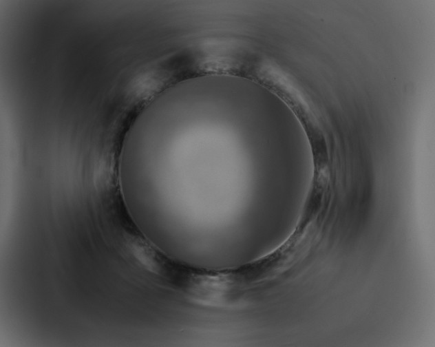 X0000088230411200705151457
