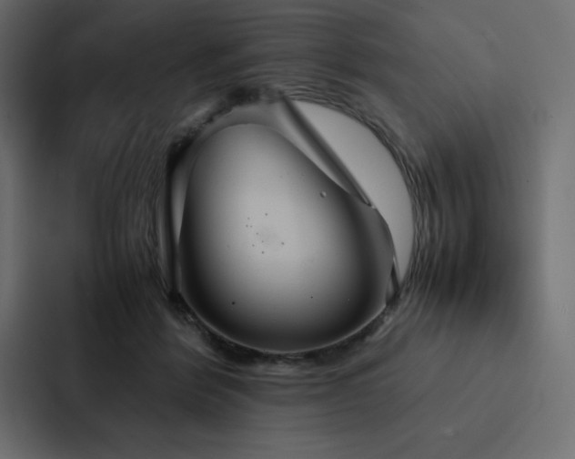 X0000088230412200705151457