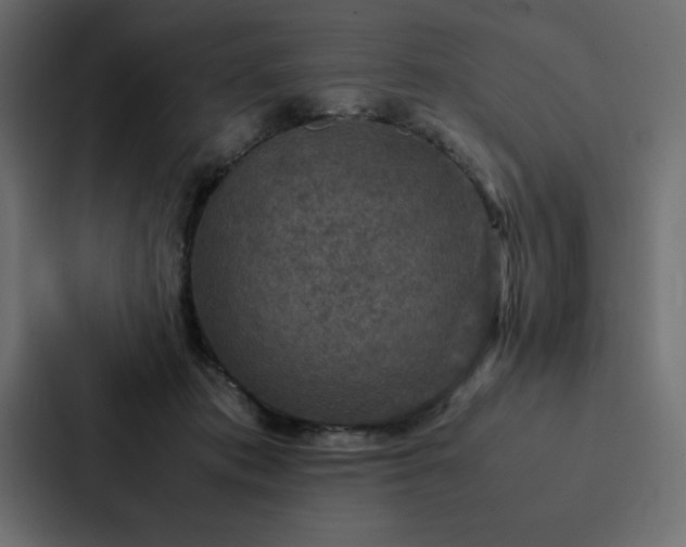 X0000088230413200705151457