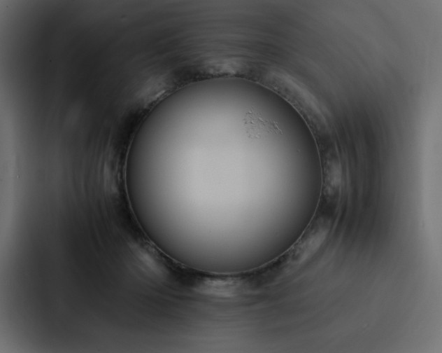 X0000088230414200705151457