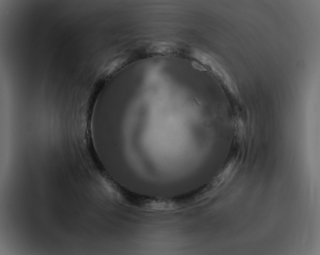 X0000088230415200705151457