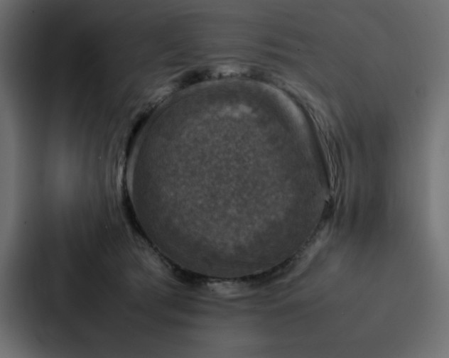 X0000088230417200705151456