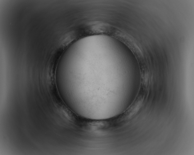X0000088230418200705151456