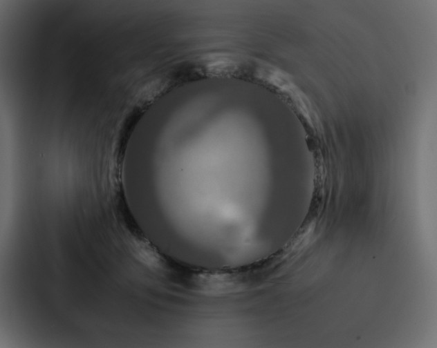 X0000088230419200705151456