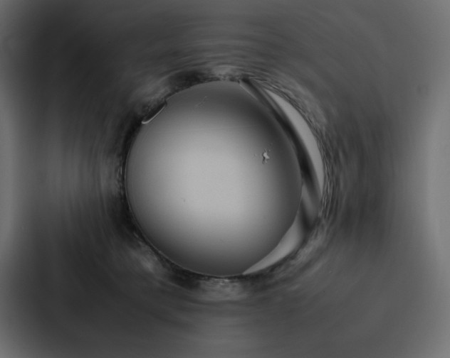 X0000088230421200705151456