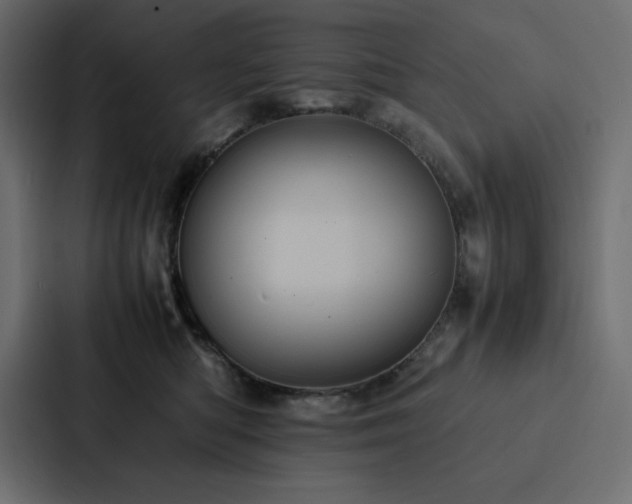 X0000088230422200705151456